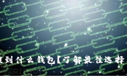 屎币可以提到什么钱包？了解最佳选择与使用技巧