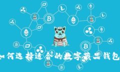 如何选择适合的数字藏品钱包？
