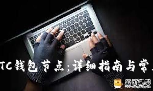 如何设置LTC钱包节点：详细指南与常见问题解答