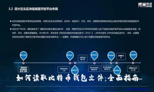 如何读取比特币钱包文件：全面指南