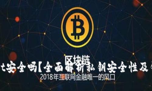 私钥导入tpWallet安全吗？全面解析私钥安全性及钱包使用注意事项