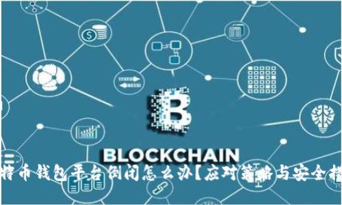 比特币钱包平台倒闭怎么办？应对策略与安全措施