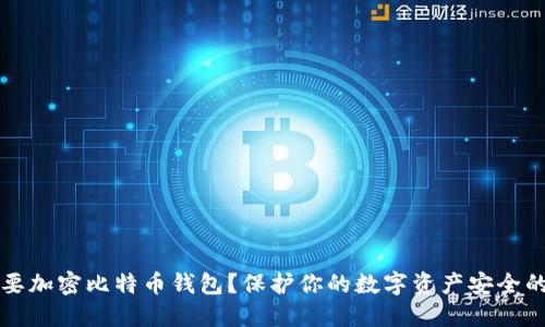 为什么要加密比特币钱包？保护你的数字资产安全的重要性