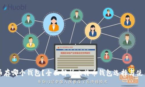 比特币存哪个钱包？全面解析比特币钱包选择与使用指南