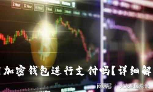 美国可以使用加密钱包进行支付吗？详细解析与应用场景