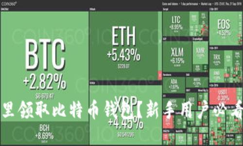 去哪里领取比特币钱包？新手用户必看指南