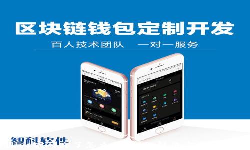 
tpWallet密码忘了怎么办？详细解决方案及修改方法
