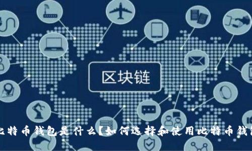 比特币钱包是什么？如何选择和使用比特币钱包