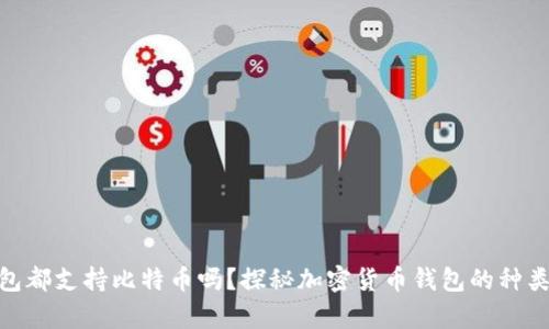 : 所有钱包都支持比特币吗？探秘加密货币钱包的种类及其优势