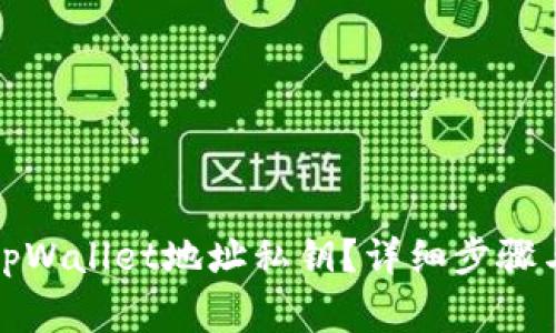 如何查看tpWallet地址私钥？详细步骤与注意事项