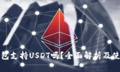 极客钱包支持USDT吗？全面