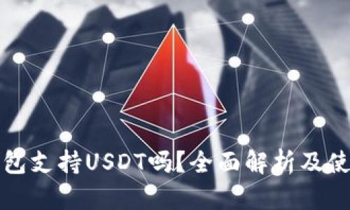 极客钱包支持USDT吗？全面解析及使用指南