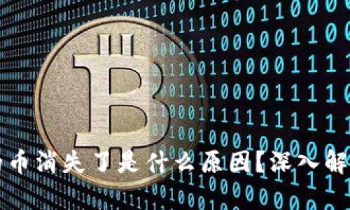 tpWallet里的币消失了是什么原因？深入解析与解决方案