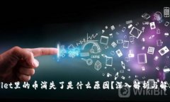 tpWallet里的币消失了是什么