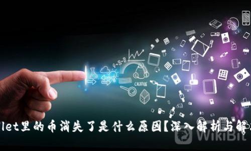 tpWallet里的币消失了是什么原因？深入解析与解决方案