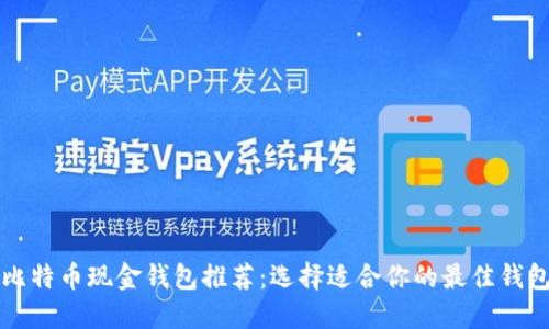 比特币现金钱包推荐：选择适合你的最佳钱包